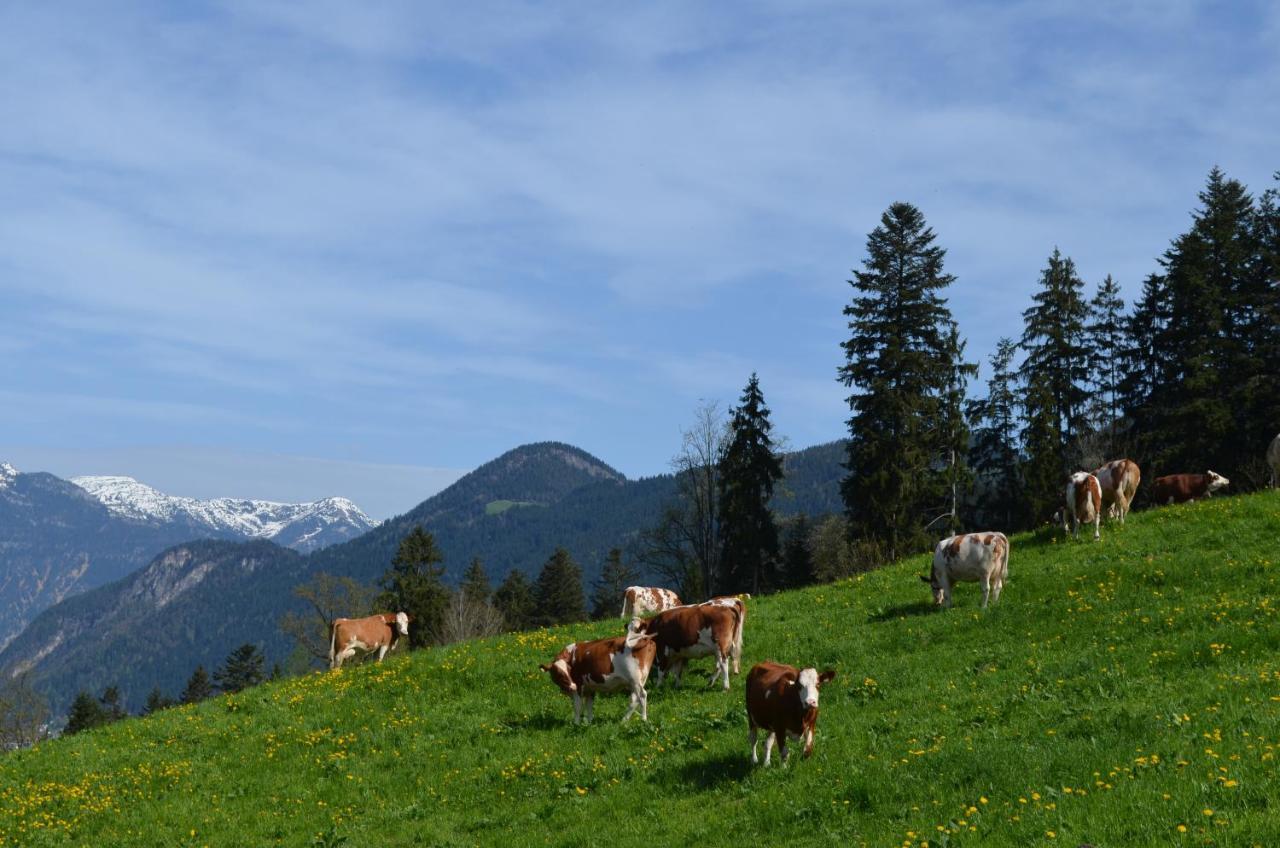Apart Timeout Hart im Zillertal Extérieur photo